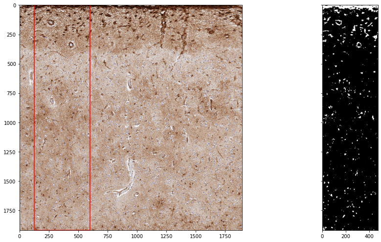 ../_images/examples_example3_quantification_13_1.png