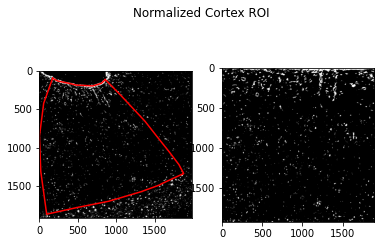 ../_images/examples_example3_quantification_2_3.png