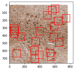 ../_images/examples_example3_quantification_9_1.png